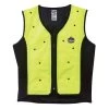 Ergodyne Chill-Its Dry Evaporative Cooling Vest - 6685 -Work Safety Equipment Shop eajede5xfudjsk1ophbo 85284.1698312616