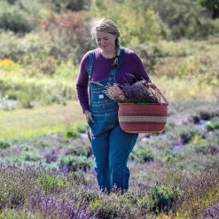 Key Apparel Denim Bib Overall For Her - 280.45 -Work Safety Equipment Shop jzjfsncywsnrm9klfrpt 48481.1698672112