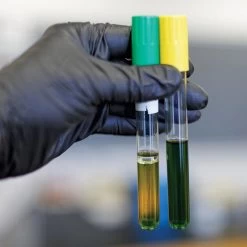 Dash Black Maxx Thin Nitrile Disposable Exam Gloves - Black - 3 Mil - Box Of 200 -Work Safety Equipment Shop zgpoygcyyfxy7hcb1zby 75893.1703002470